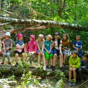 na wielkim drzewie